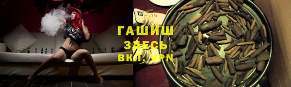 гидра Верхний Тагил