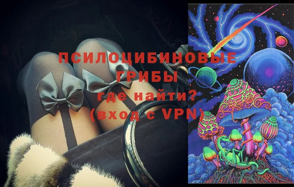 Альфа ПВП Россошь