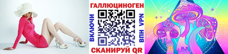 Псилоцибиновые грибы Cubensis  Буинск 